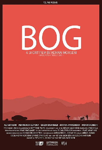 Bog