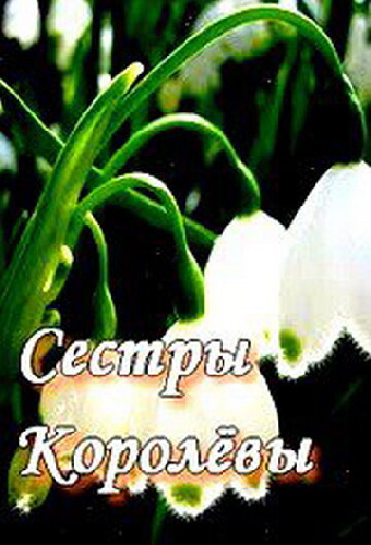 Сестры Королевы