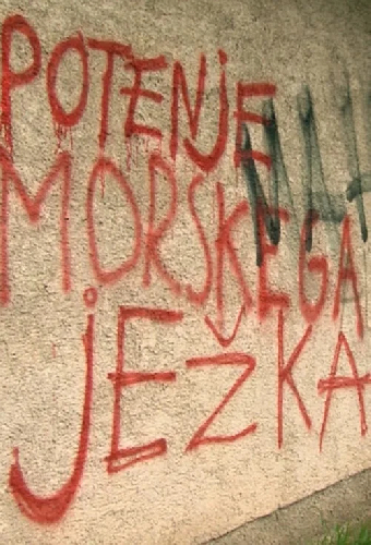 Potenje morskega ježka