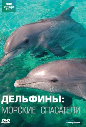 Дельфины: Морские спасатели
