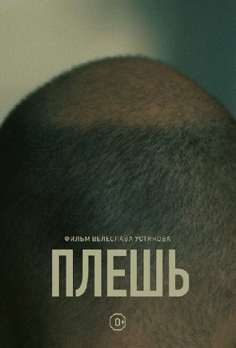 Плешь