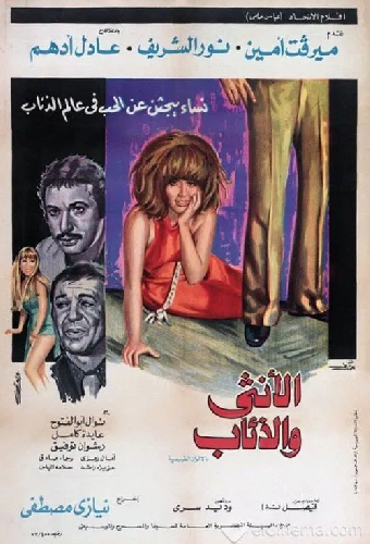 الأنثى والذئاب