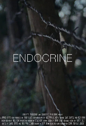 Endocrine