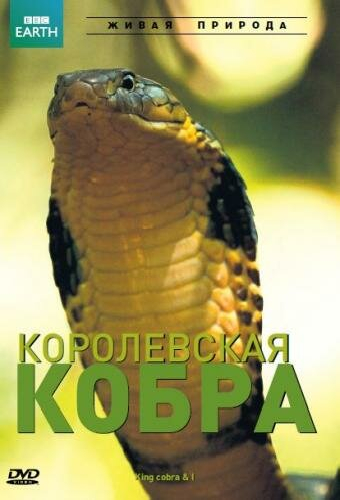BBC: Королевская кобра
