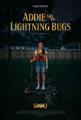 Addie and the Lightning Bugs