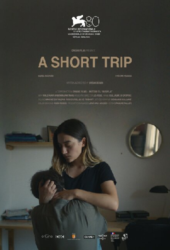Короткая поездка