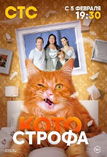 Котострофа