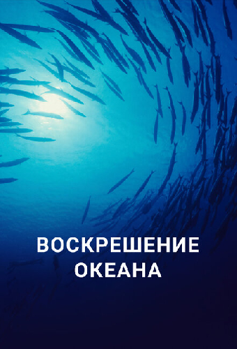 Воскрешение океана