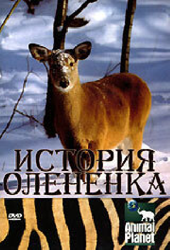 История олененка