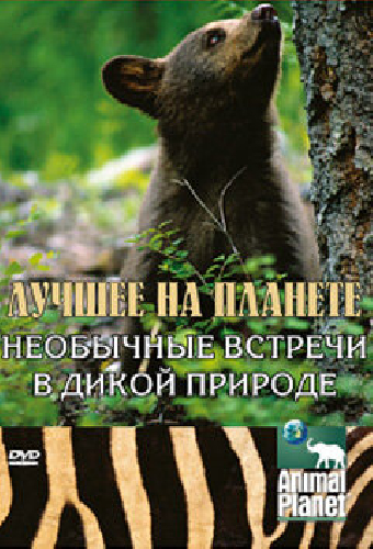 Animal Planet: Лучшее на планете