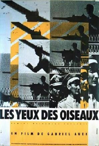 Les yeux des oiseaux