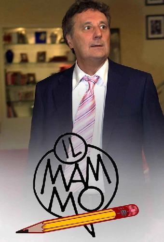 Мистер мама