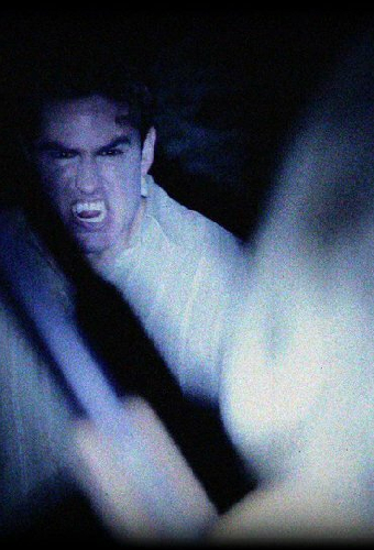 Just the Vampire Hunter