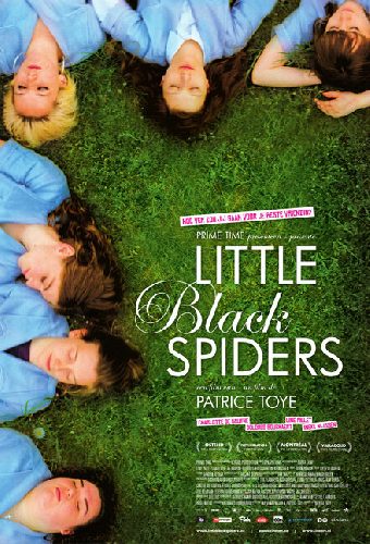Little Black Spiders