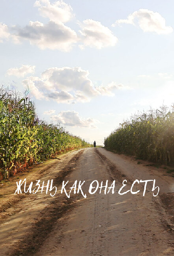 Жизнь как она есть