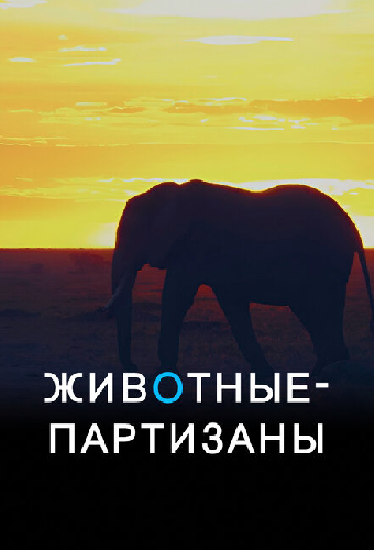 Животные-партизаны
