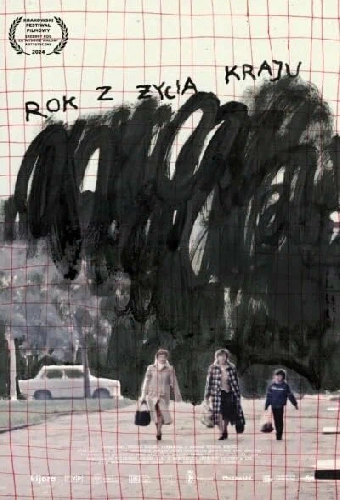 Год из жизни страны