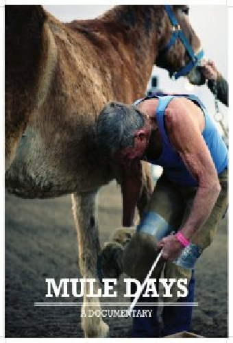 Mule Days