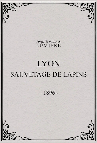 Lyon : sauvetage de lapins