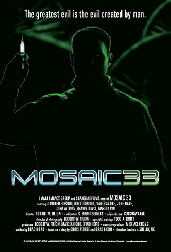 Mosaic 33