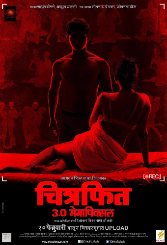 चित्रफित 3.0 Megapixel