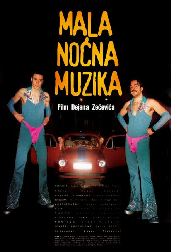Mala nocna muzika