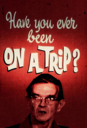 Have You Ever Been on a Trip?