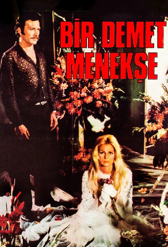 Bir Demet Menekşe