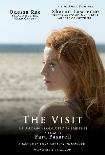 The Visit