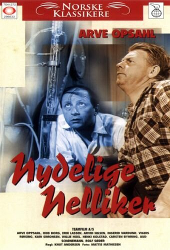 Nydelige nelliker