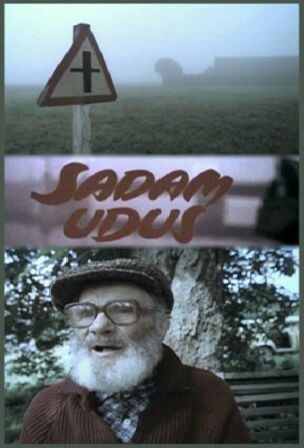 Порт в тумане