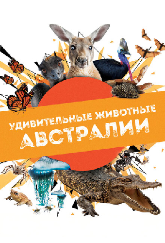 Удивительные животные Австралии