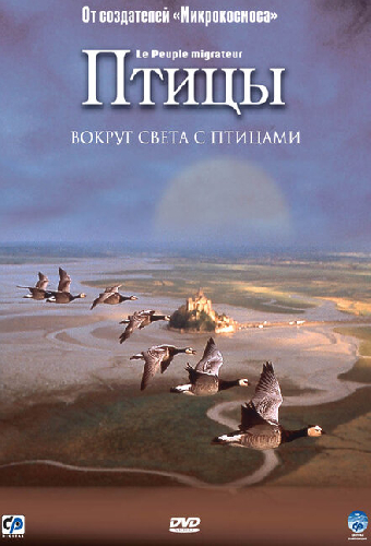 Птицы