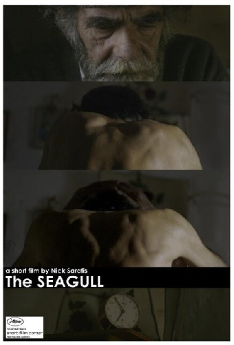 Seagull