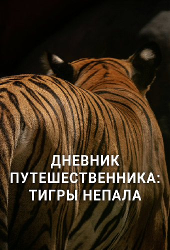 Дневник путешественника: Тигры Непала