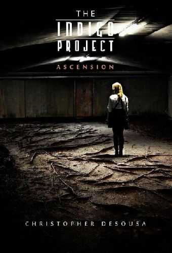 The Indigo Project: Ascension