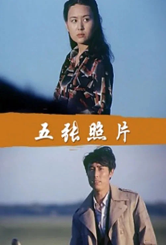 五张照片