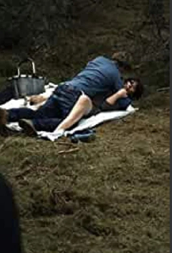 Picnic