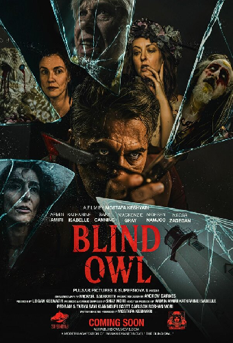 Blind Owl