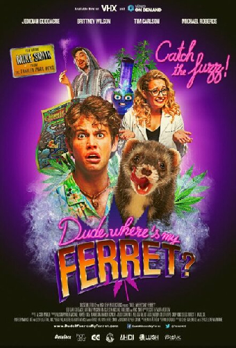 Dude, Where's My Ferret?