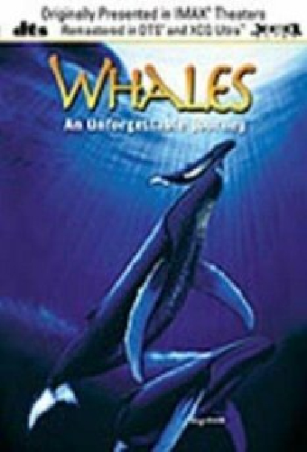 Whales: An Unforgettable Journey
