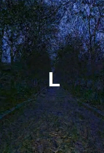 L