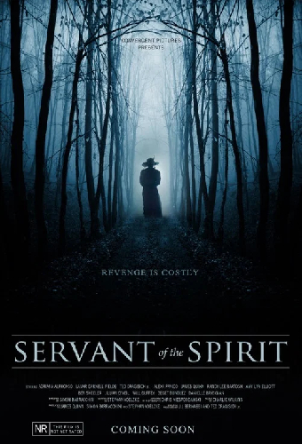 Servant of the Spirit