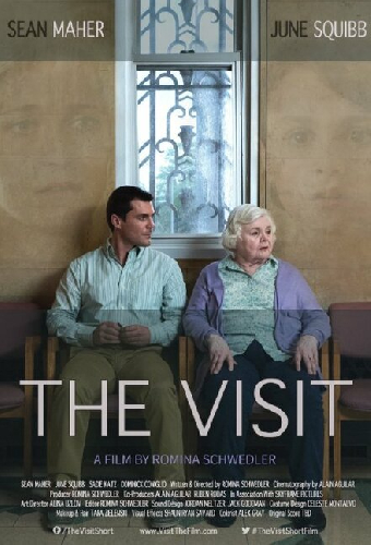 The Visit