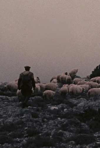Pastori di Orgosolo