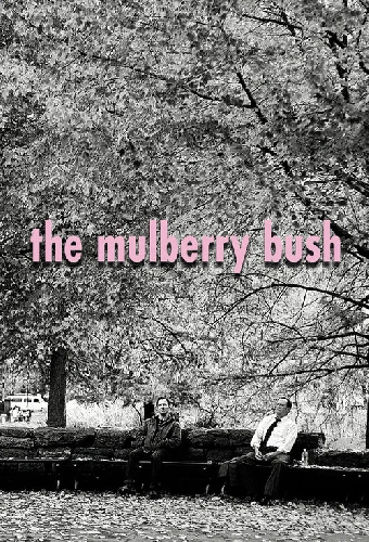 The Mulberry Bush