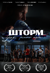 «Шторм» среди ясного неба