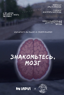 Знакомьтесь, мозг