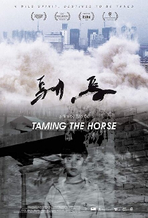 驯马