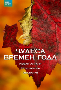Чудеса времён года